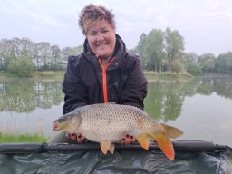 Competities HSV Alfheim